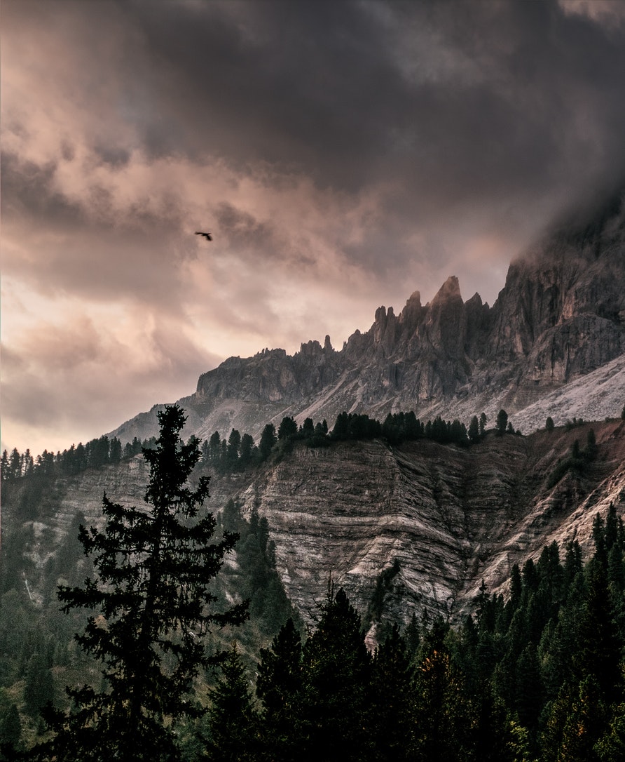 Forest at the base of a mountain with fog giving fantasy vibes